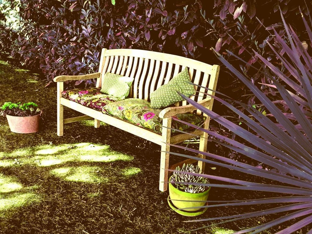 B&B Vigna Rosa Trevignano Romano Exterior foto