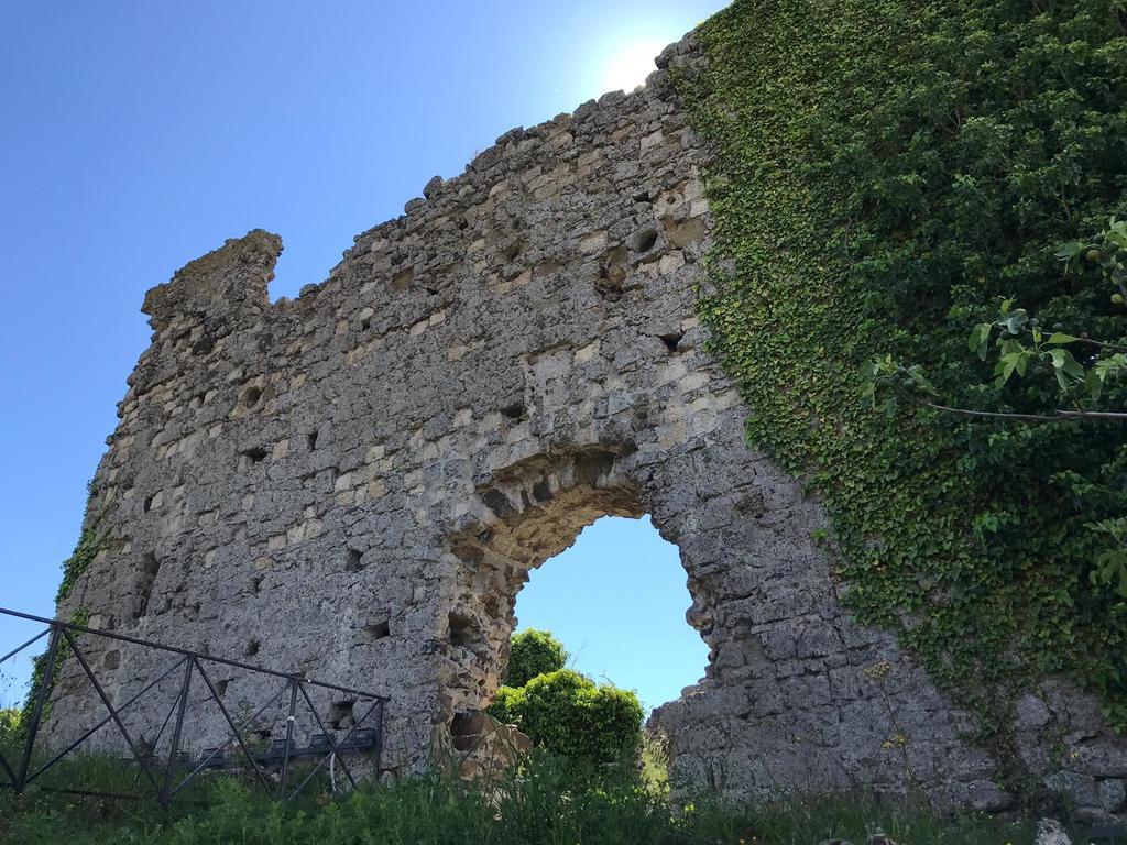B&B Vigna Rosa Trevignano Romano Exterior foto